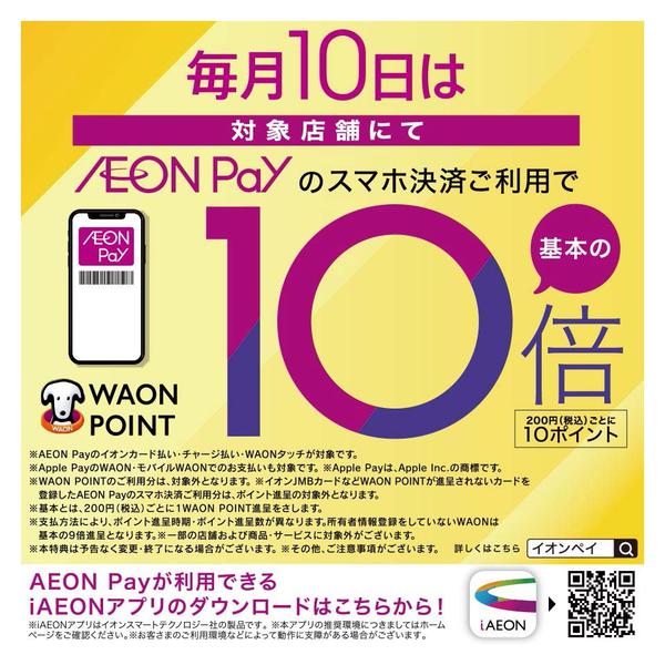 2026年1月10日限りイオンペイ10倍new-1