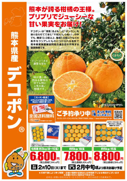 2026年1月4日〜2月10日まで熊本が誇る柑橘の王様デコポンをお届け！-1