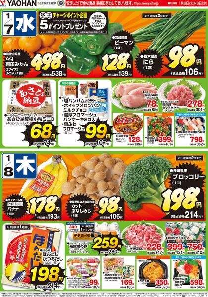 最新チラシnew-2