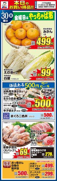 レギュラーチラシ-1