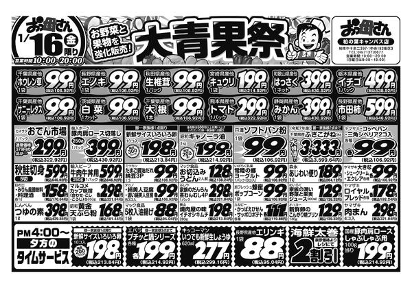 レギュラーチラシ-1