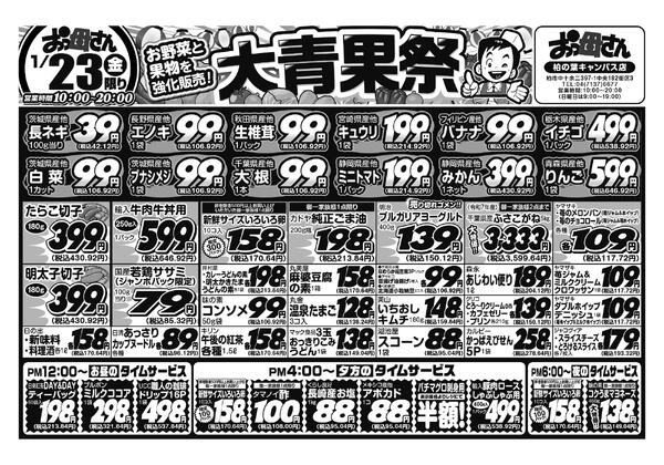 レギュラーチラシ-1