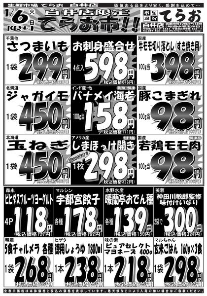 最新チラシnew-2