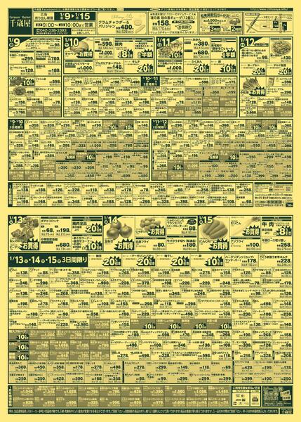 最新チラシnew-1