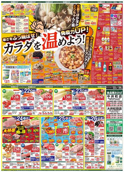 レギュラーチラシnew-1