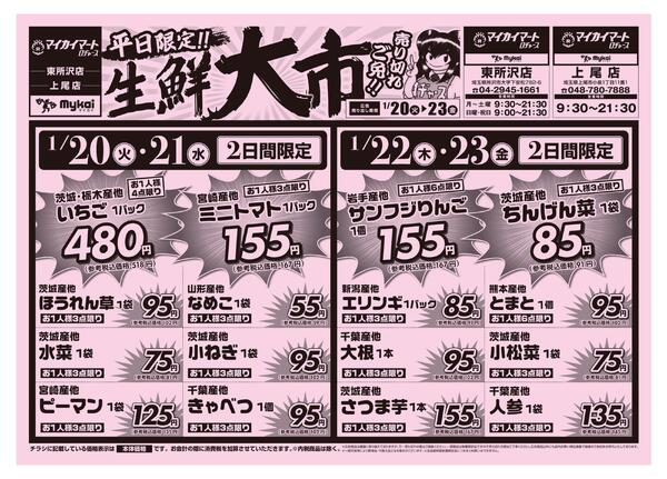 折り込みチラシ-1