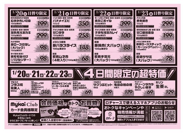 折り込みチラシ-2