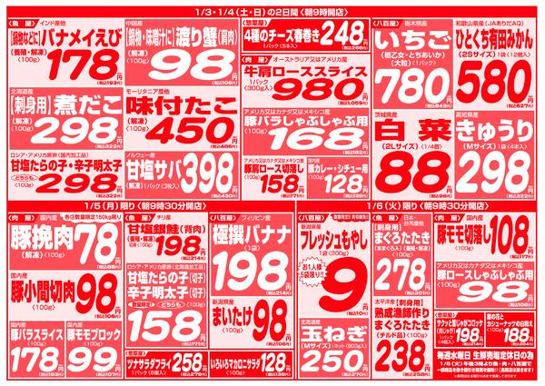 最新チラシnew-10