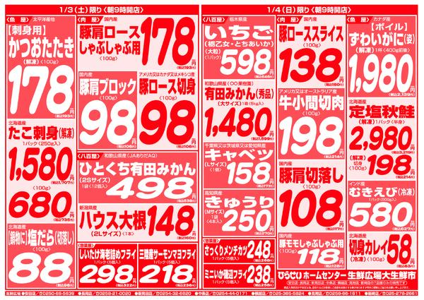 最新チラシnew-9