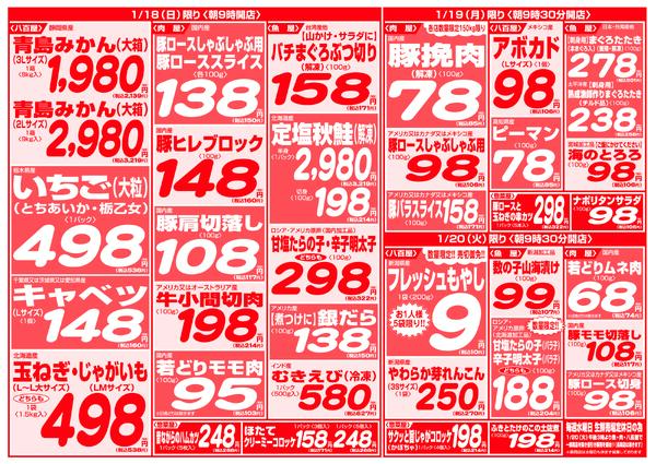 最新チラシnew-4