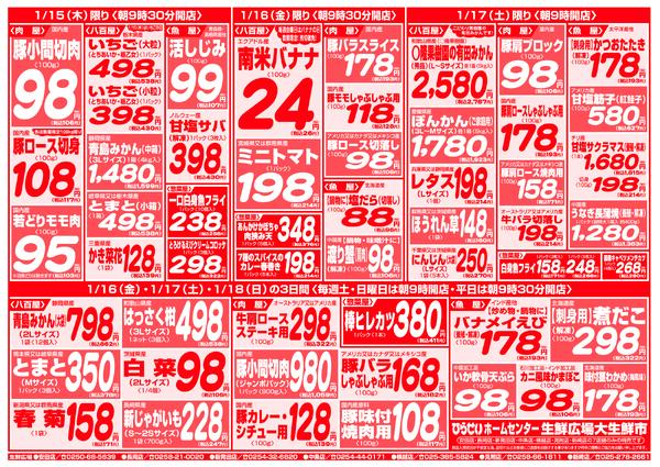 最新チラシnew-3