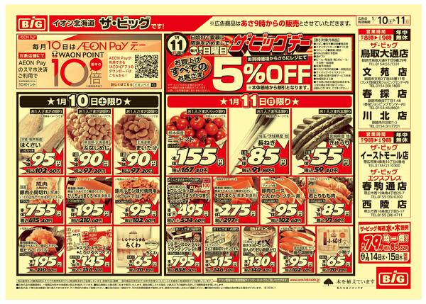 ザ・ビッグデー/買えば買うほど安さがわかりますnew-1