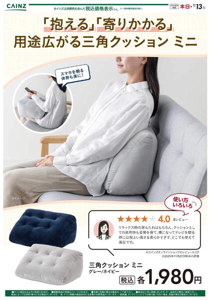 三角クッション ミニ 12/5号-1