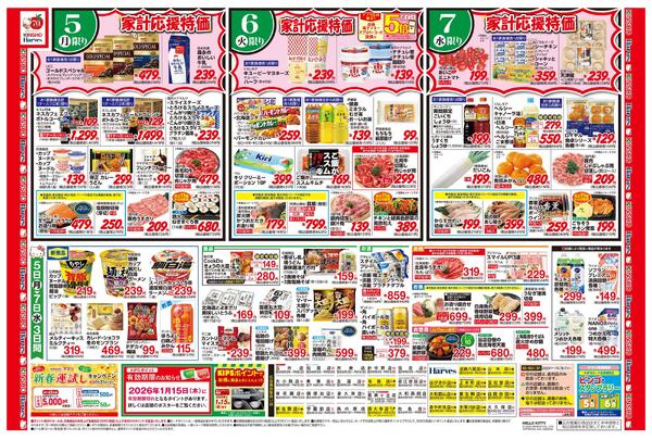 1/5号　月火曜市-2