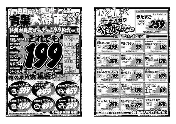 最新チラシnew-1