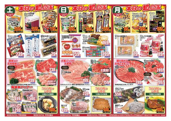 レギュラーチラシ-2