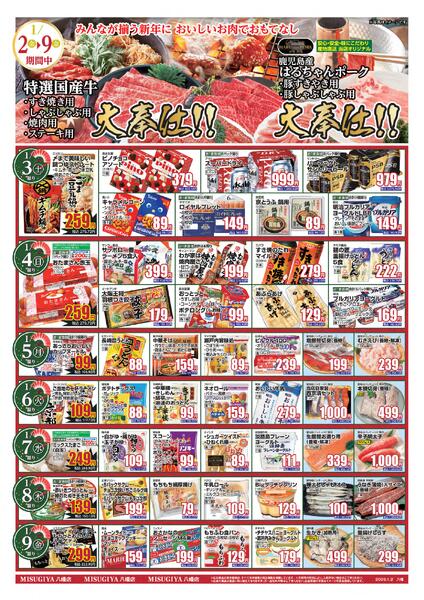 レギュラーチラシnew-3