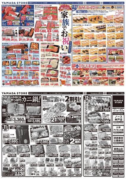 1月11日（日）チラシのご案内new-1