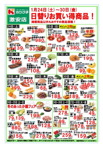 最新チラシnew-1