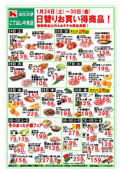 最新チラシnew-1