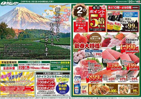 レギュラーチラシnew-1