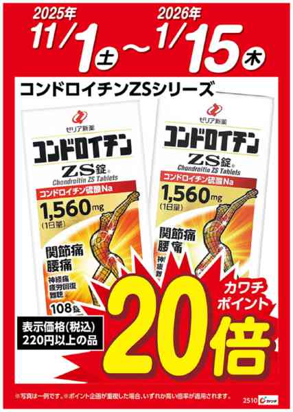 2025年11月1日〜2026年1月15日までコンドロイチンZSシリーズポイント20倍new-1