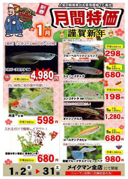 2026年1月2〜31日まで熱帯魚月間特価new-1
