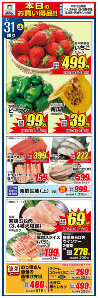 2026年1月31日限りnew-1