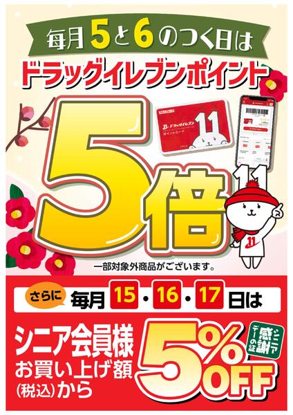 5と6のつく日はドラッグイレブンポイント5倍new-1