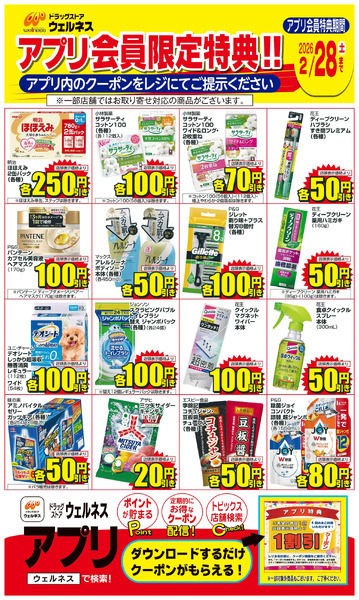2/1~2/28 ウェルネスアプリクーポンチラシ2月1日～2月28日new-1