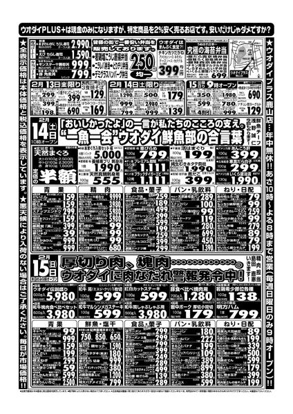 最新チラシnew-2
