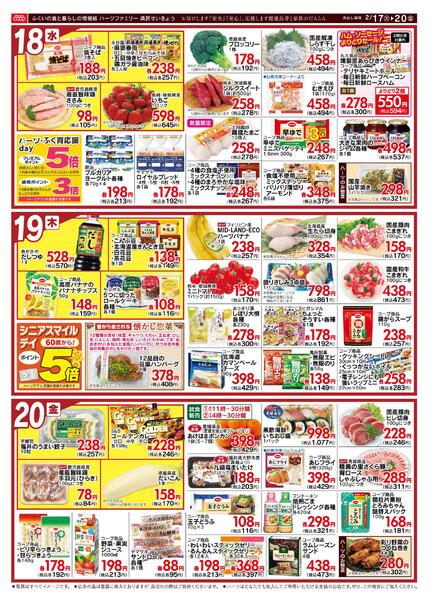 最新チラシnew-2