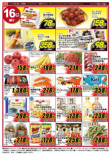 最新チラシnew-1