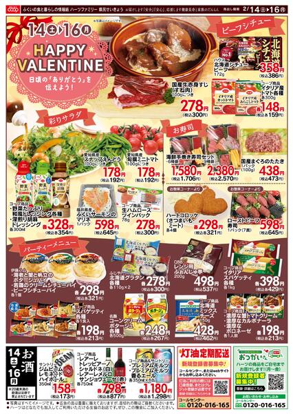 最新チラシnew-2