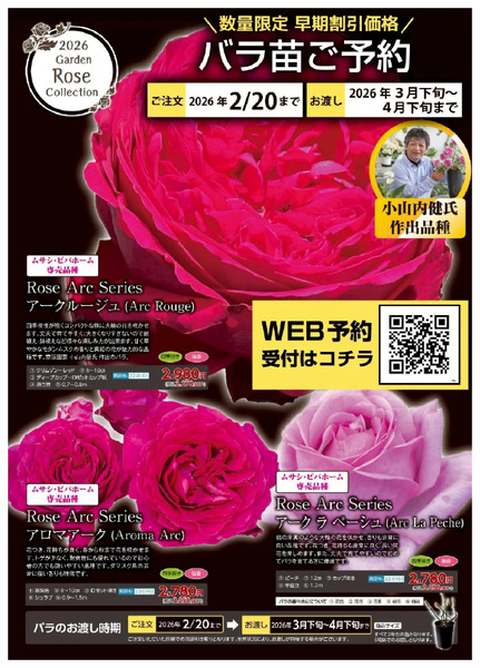 バラクレマチス苗予約受付中!1月16日～2月20日-1