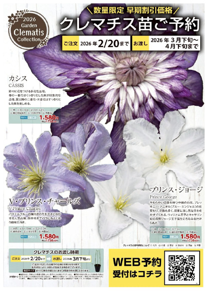 バラクレマチス苗予約受付中!1月16日～2月20日-2