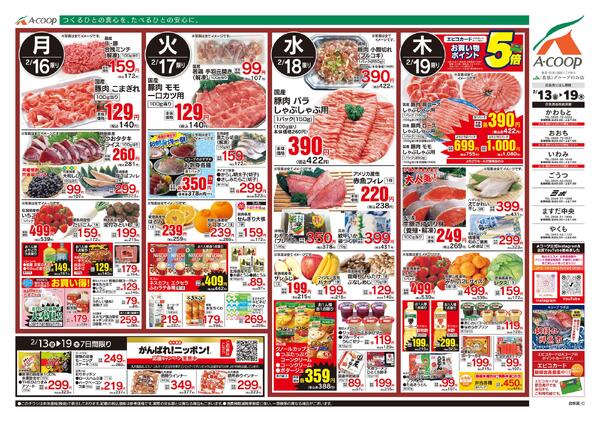 2月13日～2月19日-2