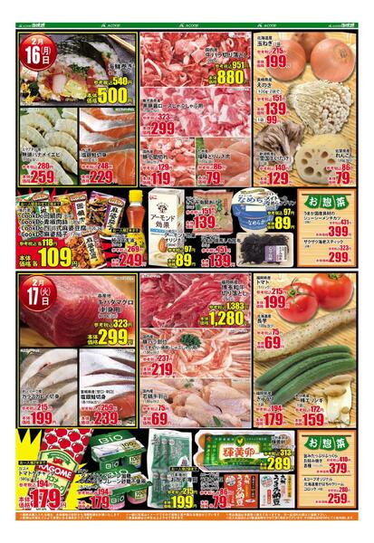 最新チラシnew-2