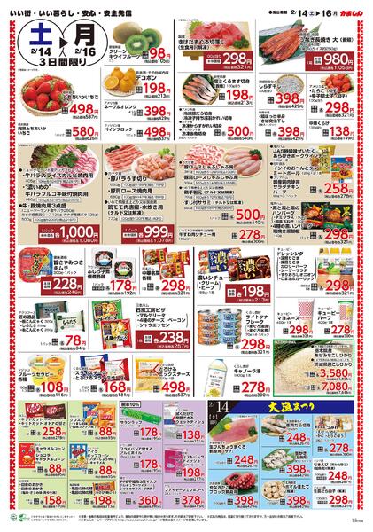 最新チラシnew-2