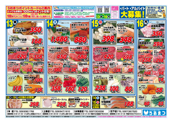 最新チラシnew-1