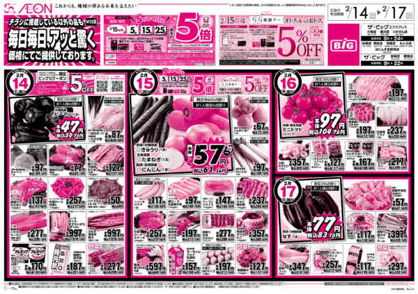 2026年2月14〜17日まで毎日毎日、アッと驚くnew-1