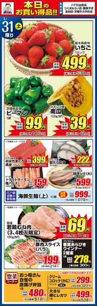 レギュラーチラシ-2