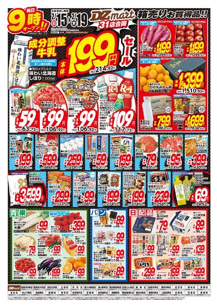 最新チラシnew-3