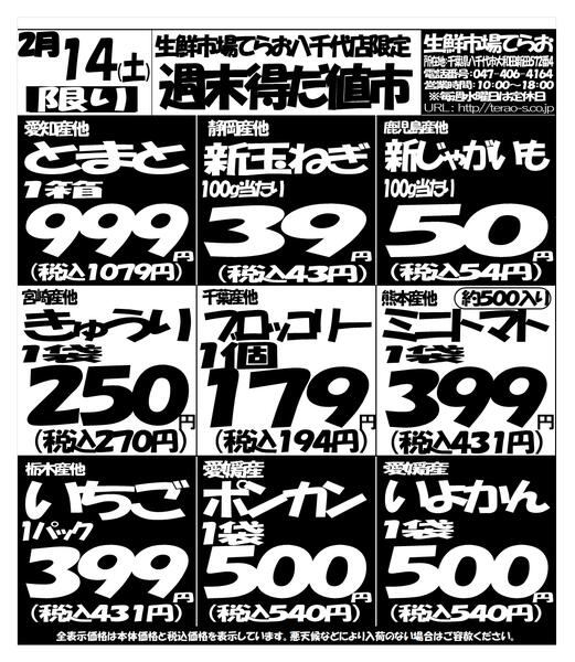 最新チラシnew-1