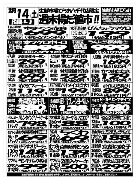 最新チラシnew-2