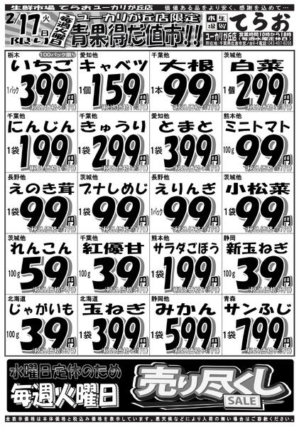 最新チラシnew-1