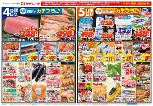 2026年2月4〜5日まで2/4号チラシ-1