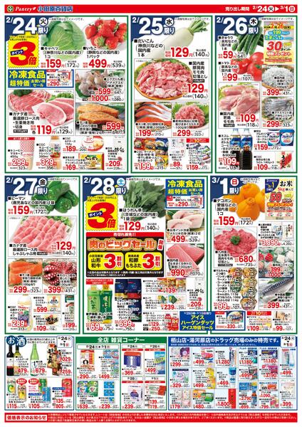 【全店舗共通チラシ】2/24　(火）～3/1（日）ＣＧＣフェア2/28のみ肉のビックセール-2