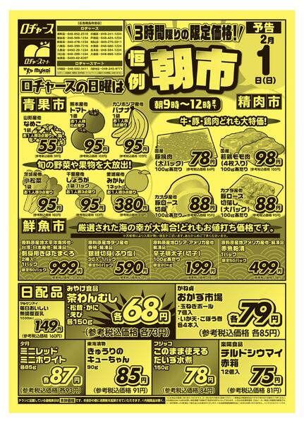 折り込みチラシnew-1