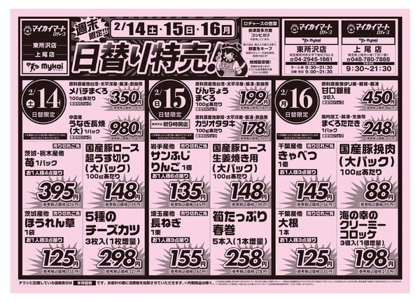 折り込みチラシnew-1